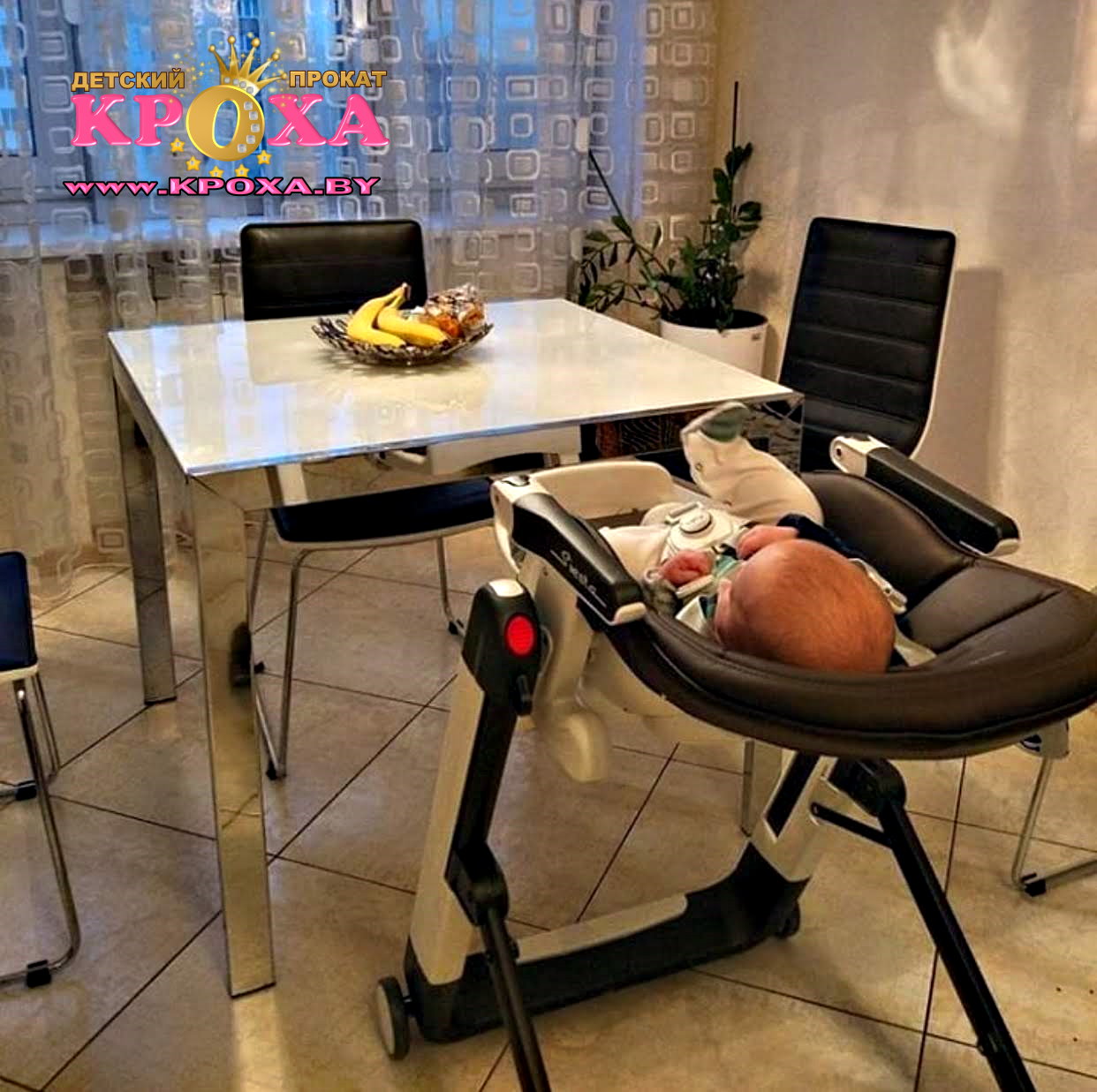 Стульчик-шезлонг Peg-Perego Siesta / Стульчики для кормления НАПРОКАТ в ...